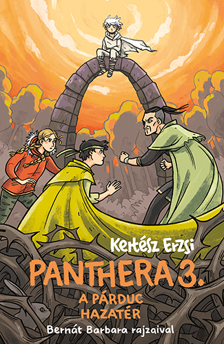 panthera3_a_parduc_hazater_borito_500px.jpg